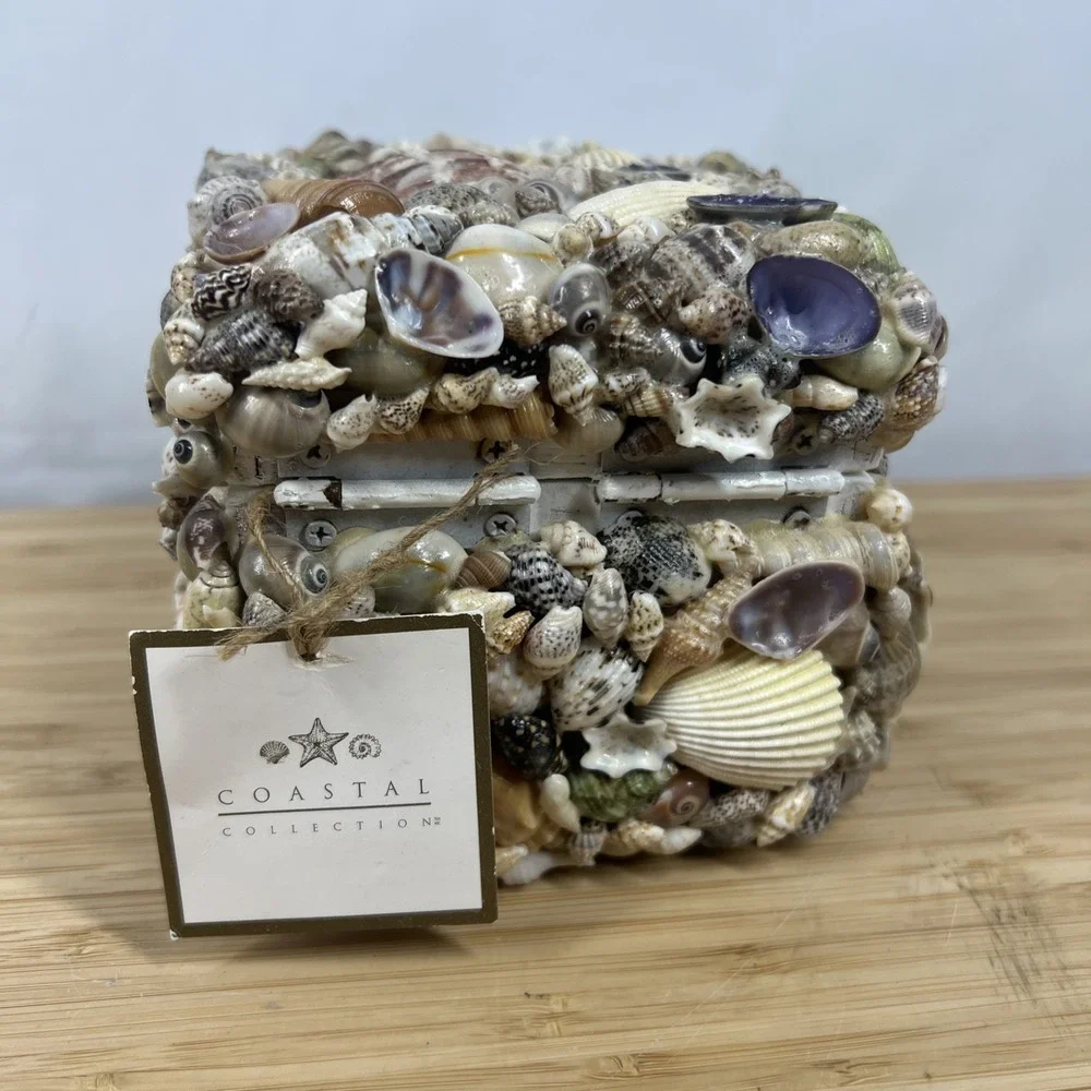 Coastal Collection Seashell Jewelry Trinket Box Beach Coastal Decor New w/ Tag